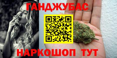 сатива Моздок